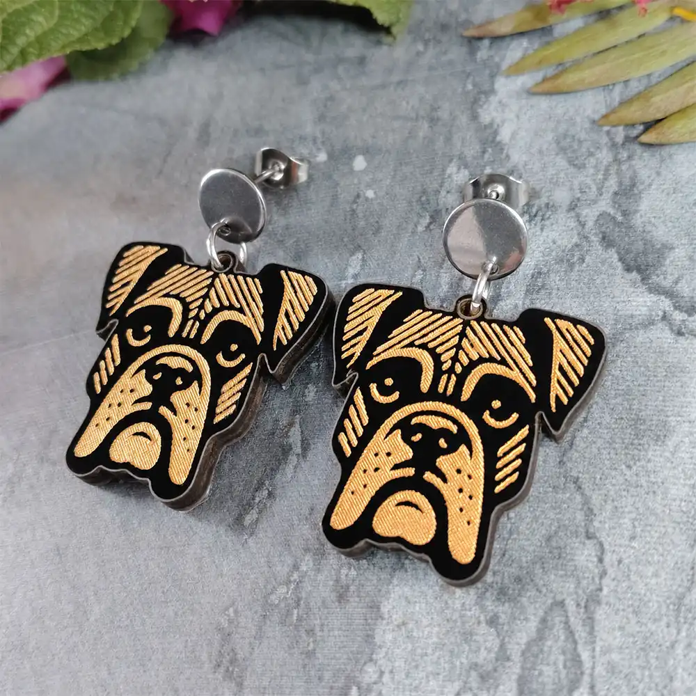 Aretes Boxer