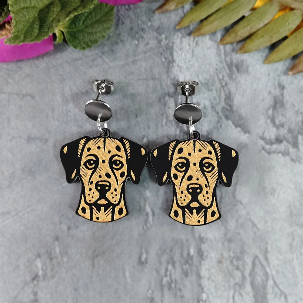 Aretes Dalmata