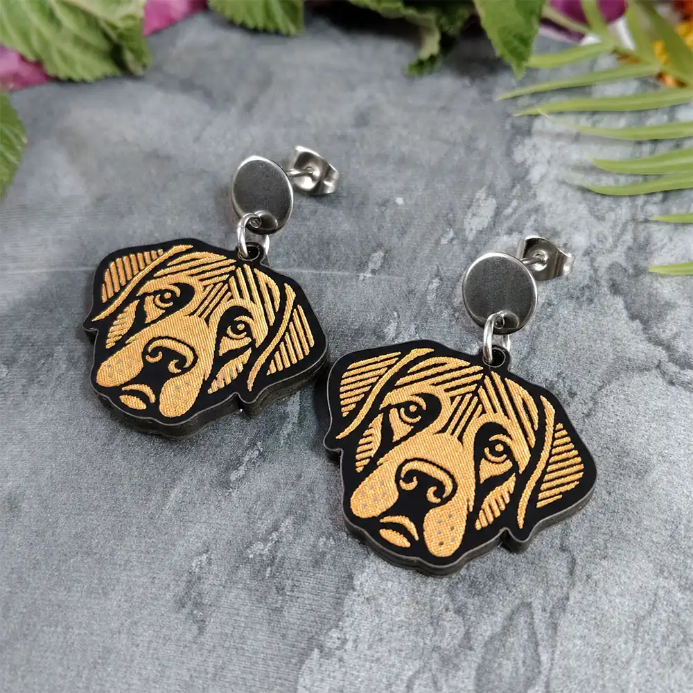 Aretes Labrador Retriever